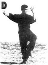 ��С����̫��4