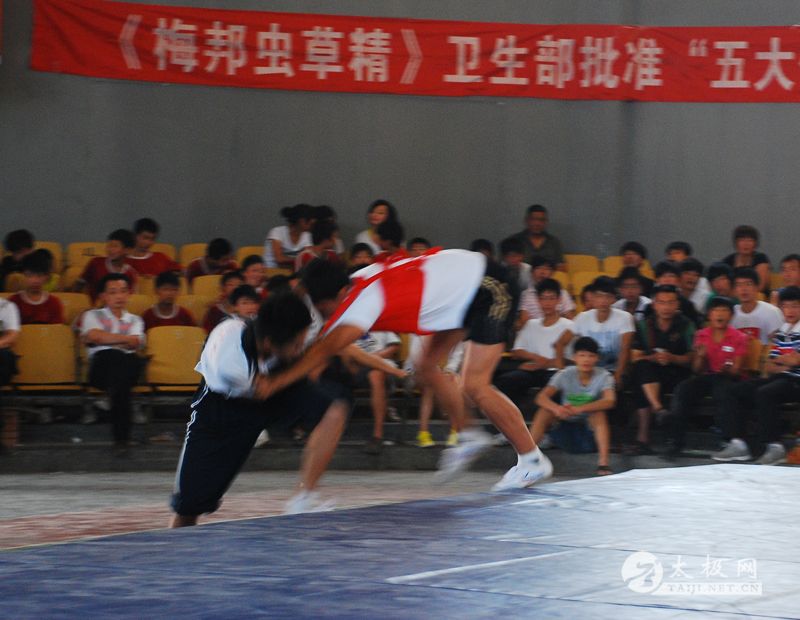 ���ص�ʮ�˽�̫�����ֽ�����������Ӱ