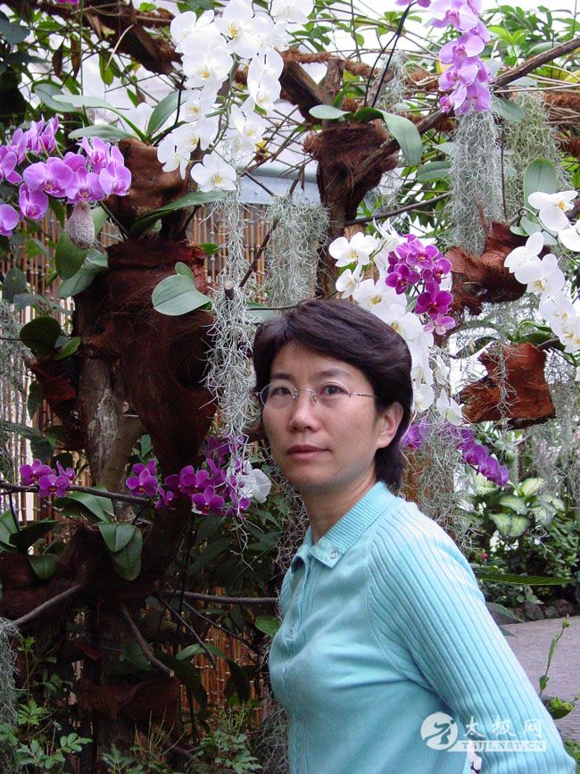 ��ʽ̫��ȭС�ܴ��˳����ͼ��