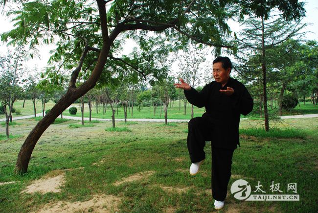 ��ʽ̫��ȭ������ȭ��