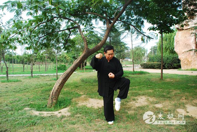 ��ʽ̫��ȭ������ȭ��