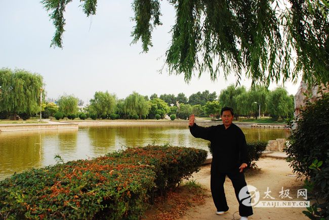 ��ʽ̫��ȭ������ȭ��