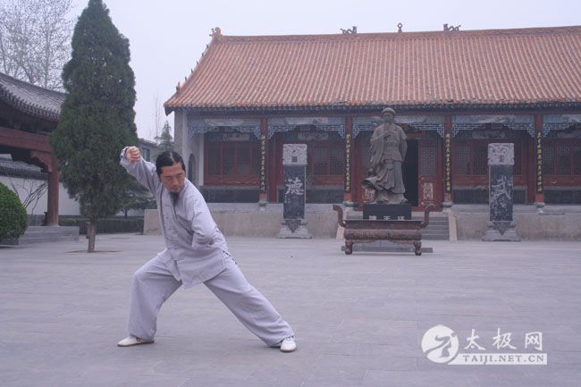 国际太极拳大师陈小旺弟子陈世宁图集