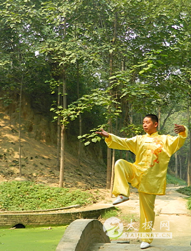 ����--���̾���ʦȭ��