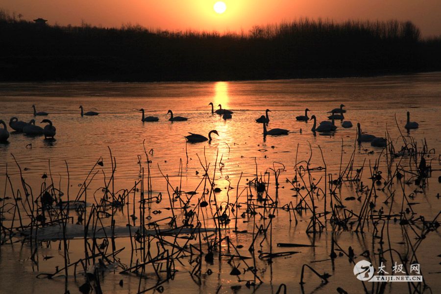 ������������