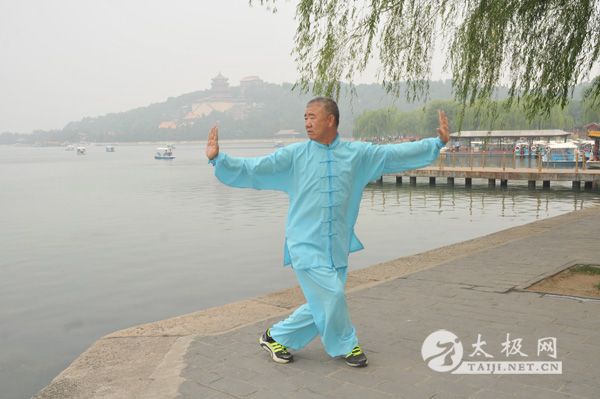 ��ʽ̫��ȭ������