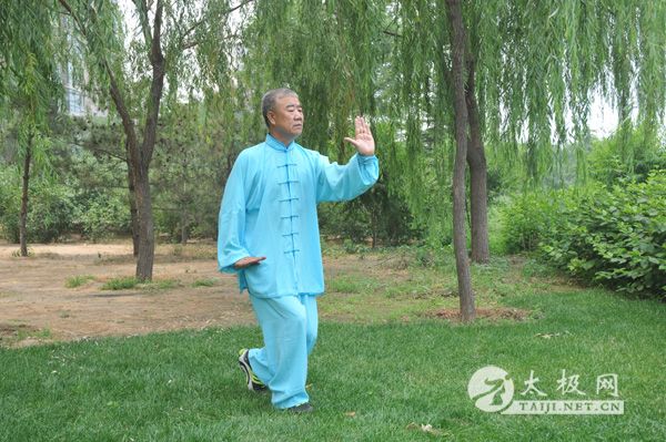 ��ʽ̫��ȭ������