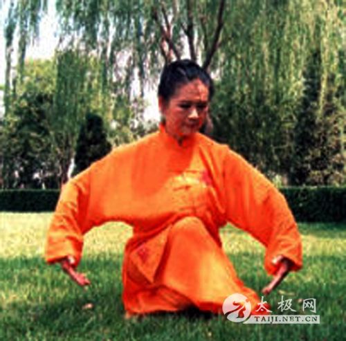 ��ŵ����̫��ȭ��33ʽ �Ĳݸ���֮һ