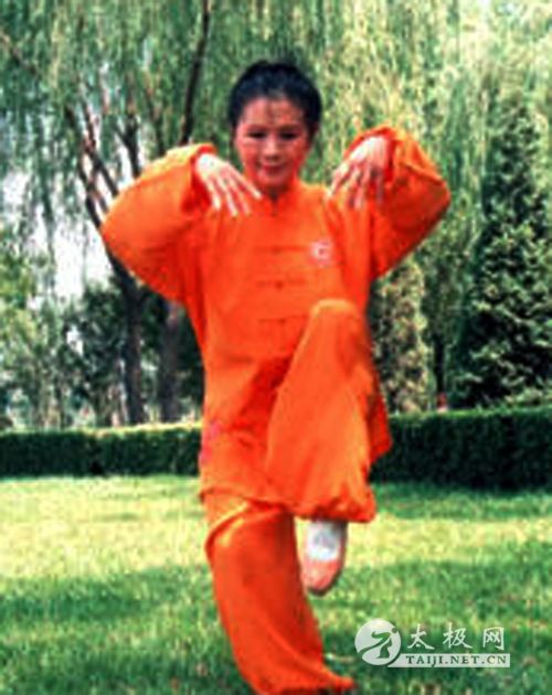 ��ŵ����̫��ȭ��36ʽ �����׳�֮һ