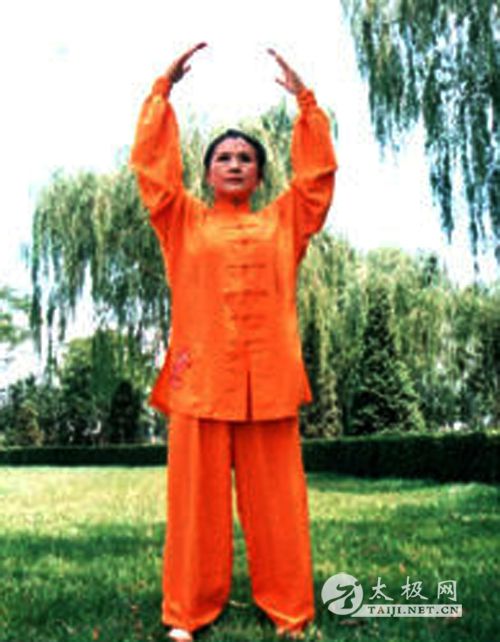 ��ŵ����̫��ȭ��37ʽ ���˺�һ֮һ