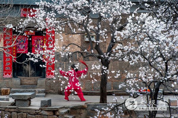 ����̫��ȭ��Ӱ��չ