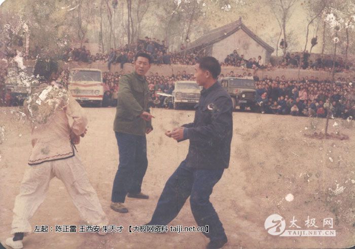 ������ ���������