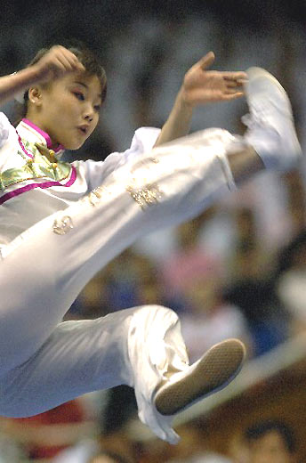 050412000445wushu13.jpg