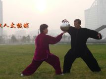 ˫��̫����