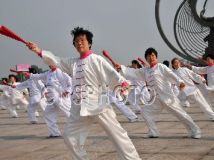 ɽ�����ݾ���̫��ȭ����