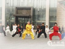 ��������̫�������㻨��֮��ȫ��