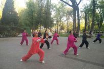 2017�½�ά���������̫��ȭ���� �߻��Ǹ���ɽ�׽�̫��ȭ���������