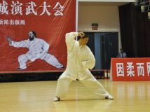 �������ڽ����й�����̫��ȭ������������