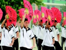 ɽ����������ɽ��������ѧ�μ������̫����