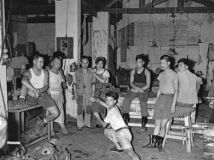 ����Ƭ���������������䳧�Ĺ������ڳ�����̫��ȭ��