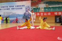 ����̫���ٻ�Ѽ�