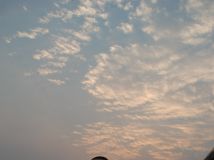 ��ȭ����