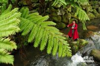 ̫����Ů�����¼�