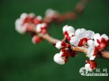 ������Ϣ