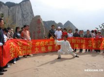 �¼ҹ���ʦ�Ÿ�����ɽȭ��һ��