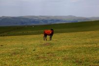 �����½������½���Ӱ�ɷ�ͼƬ