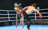 ʷ���״γ���̫��ȭPK̩ȭȡ��ʤ��