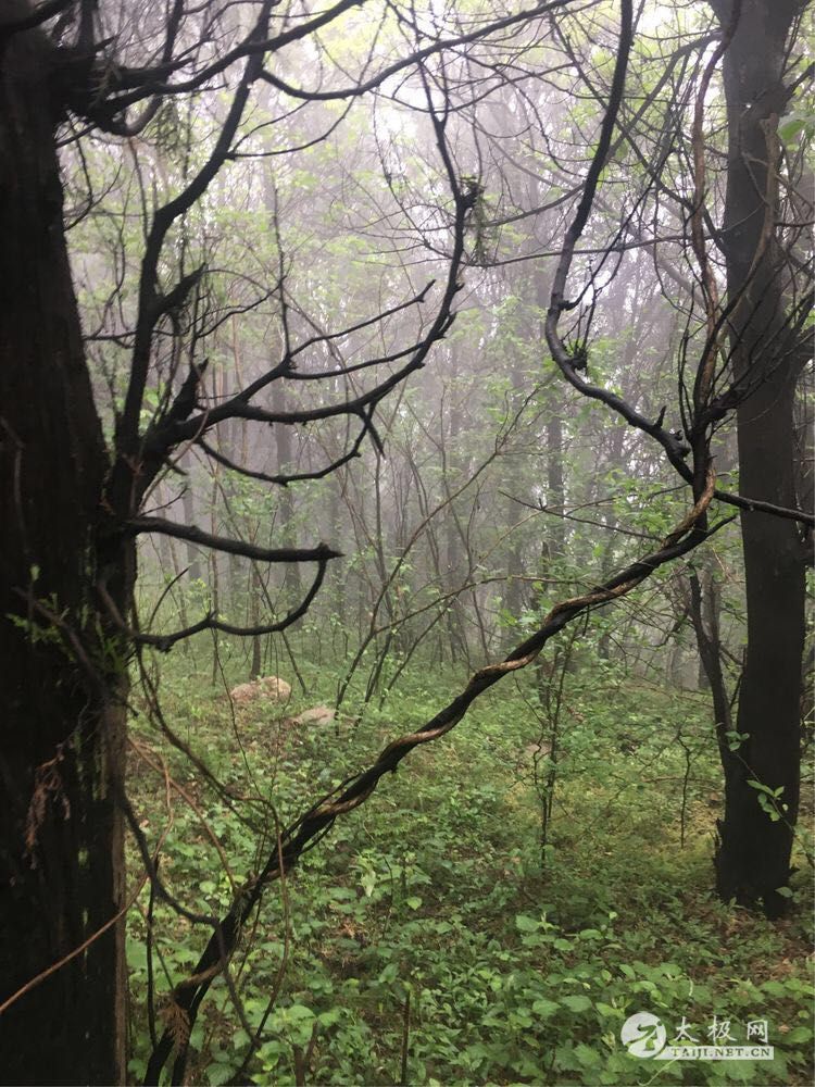 ΢ͼƬ_20180518164951.jpg