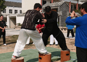 640 (6).gif