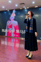 11.gif