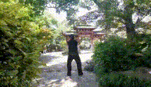 55 (1) (1).gif