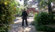 6 (1).gif