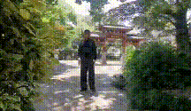 7 (1).gif
