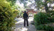 88 (1).gif