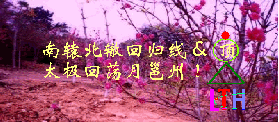 2007842228450101.gif
