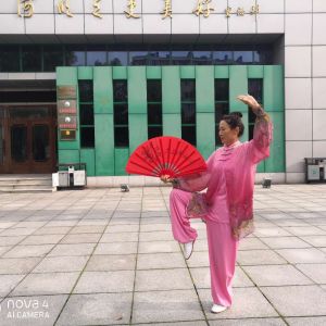 㻪2020׽조ᱭ̫ȭ